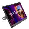 ZenScreen Portable USB 16