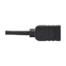 DisplayPort to HDMI Adapter