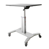 Workstation - Mobile Sit Stand