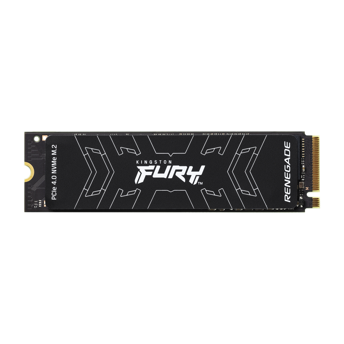 SSD Int 1TB Fury Renegade PCIe 4.0 M.2
