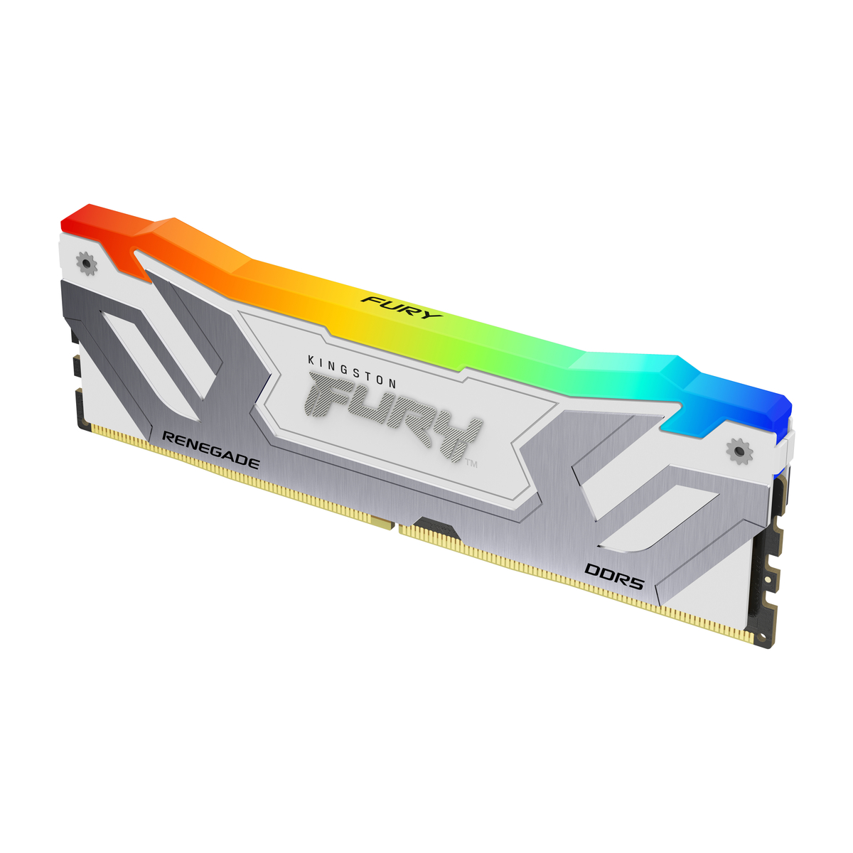 D5 CUD 8400 1x24GB Renegade RGB WhiteXMP