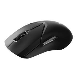 Rapoo, VT9PRO Gaming Wireless Mouse