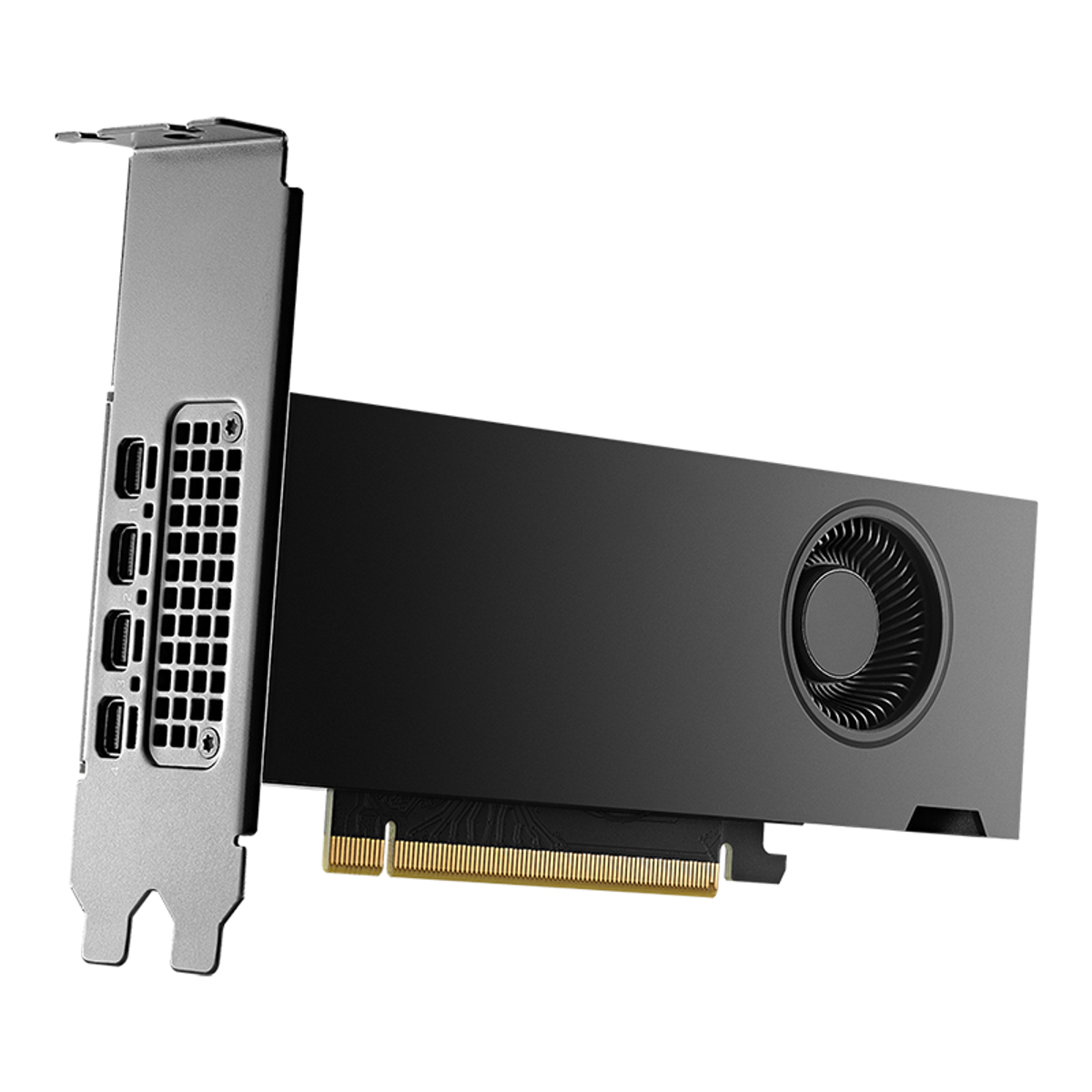 GPU NV 2000 ADA 16GB LOW PROFILE