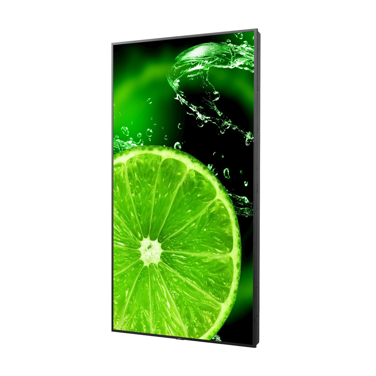 E868 86 E-Series Large Format Display