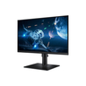 LS22D400GAUXXU 22 FHD IPS Monitor