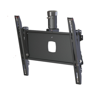 CEILING MOUNT WITH SOCKET