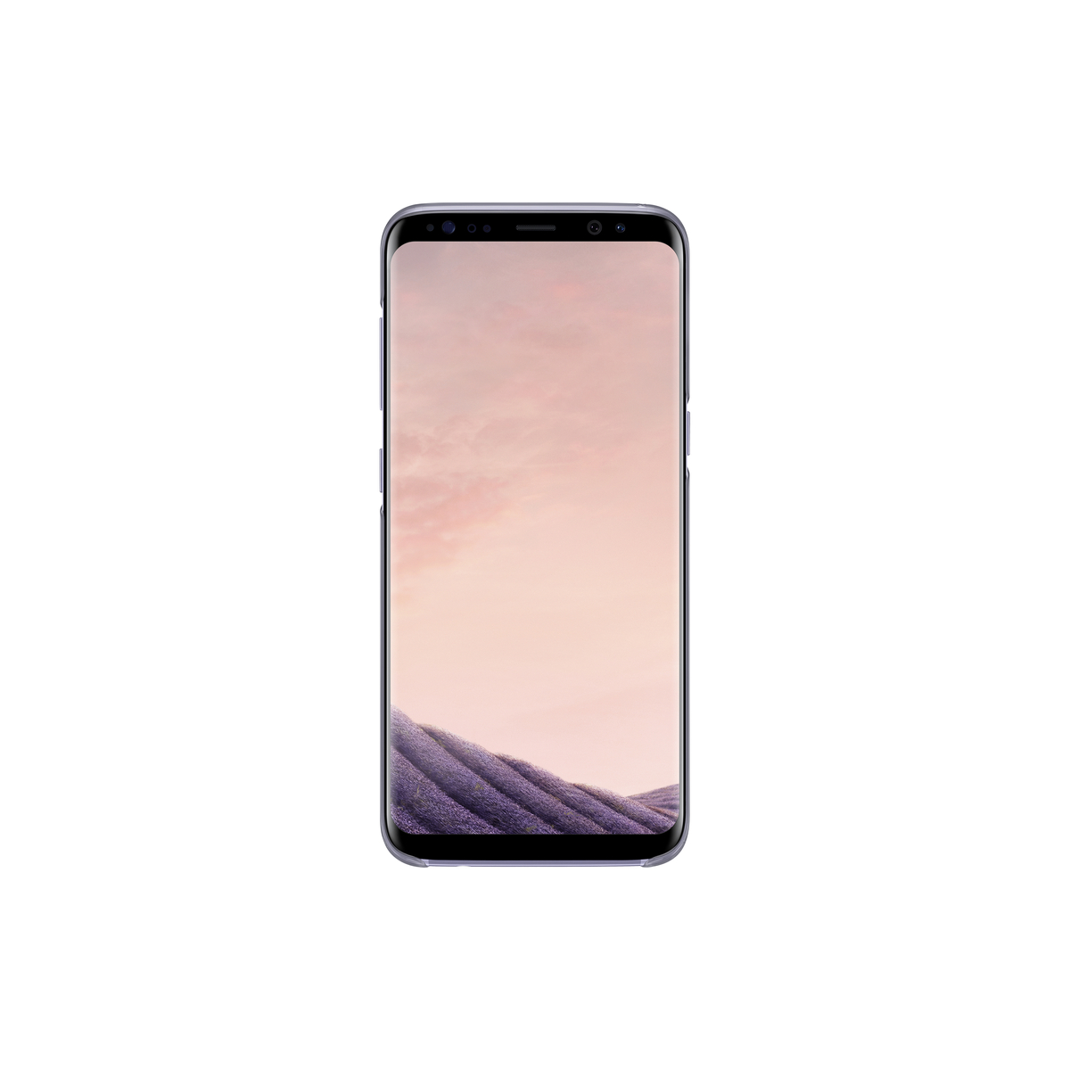 S8 Clear Cover Violet