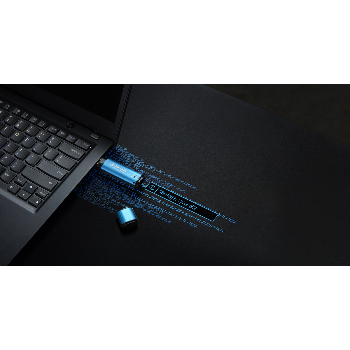 FD 256GB IronKey Vault Privacy 50 USB