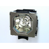 OEM lamp LMP146
