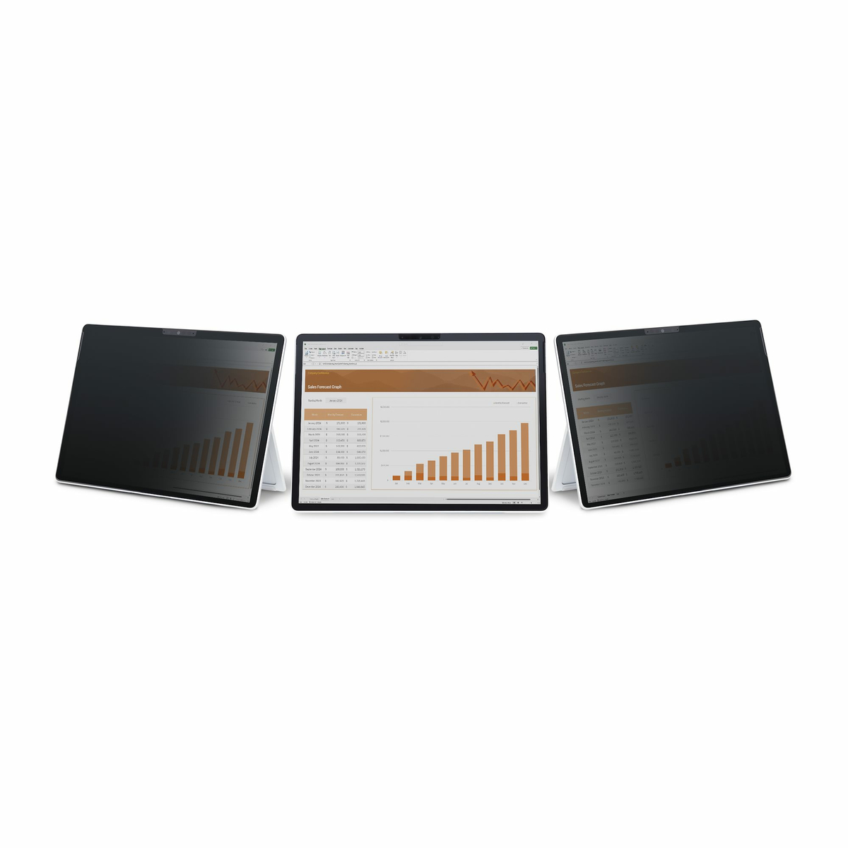 4-Way Privacy Screen 13