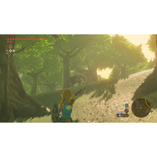 The Legend of Zelda: BOTW NSW2