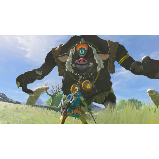 The Legend of Zelda: BOTW NSW2