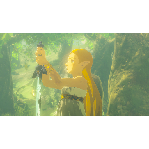 The Legend of Zelda: BOTW NSW2