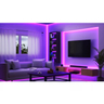WIZ RGBIC LED STRIP 10M (5+5) TYPE-G