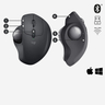 MX Ergo - Graphite - Trackball