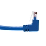 Cat6 Patch Cable Up/Dwn Angle Blue 0.31m