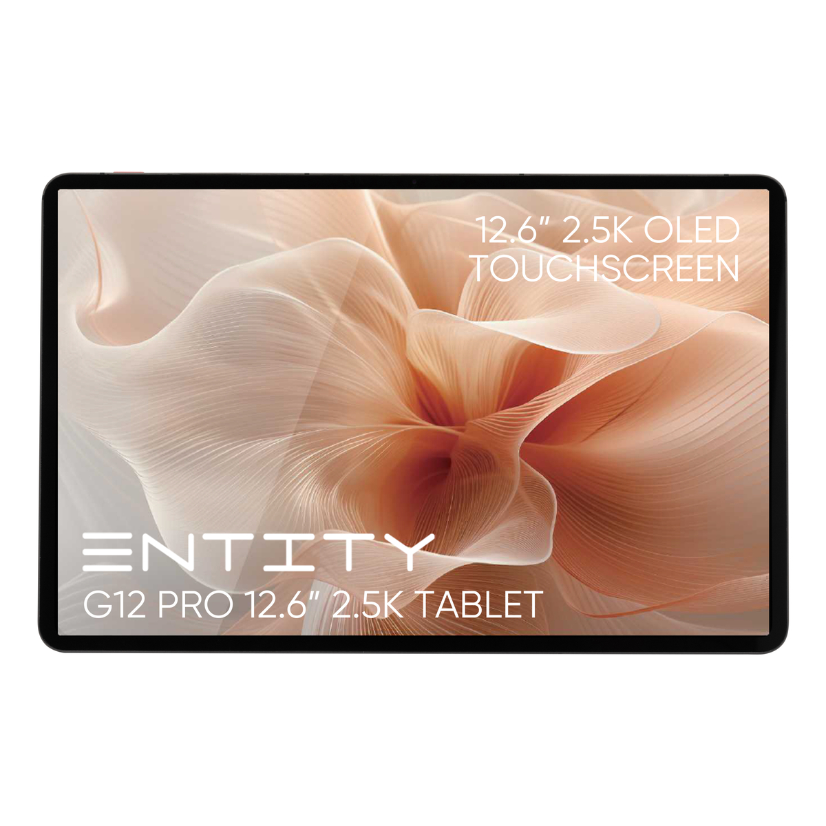 Entity G12 Pro 12.6