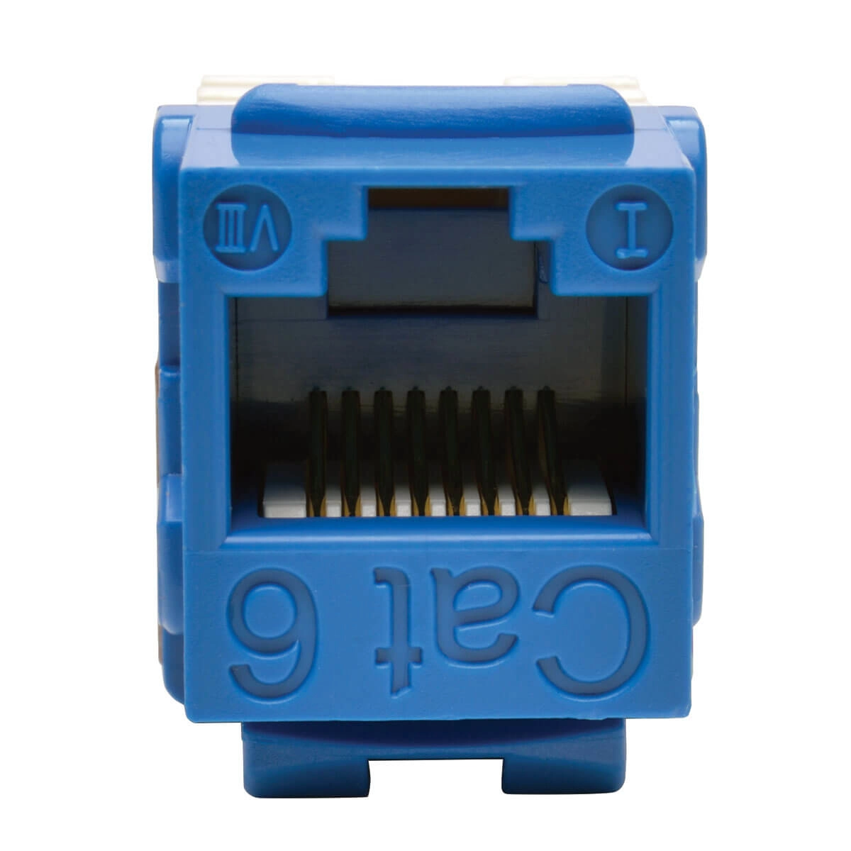 Cat6/5e Blue Wallplate Keystone Jack. Pu