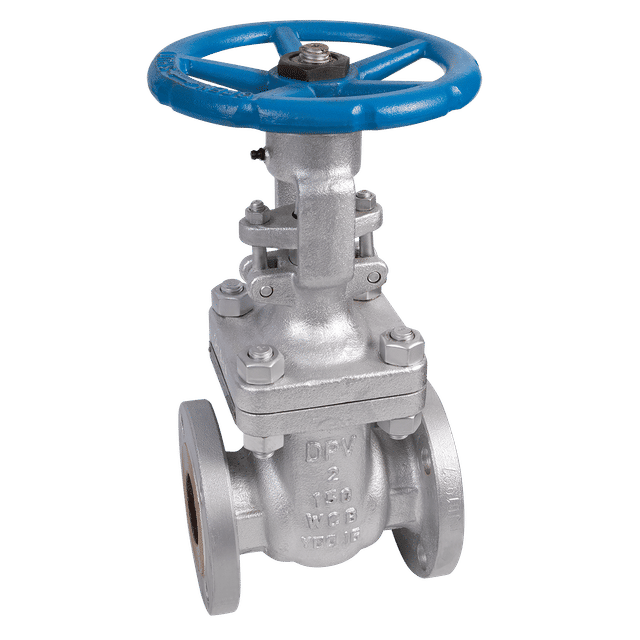 FT Pro 14" ANSI150 Cs Gate Valve 19.6B API Trim 8