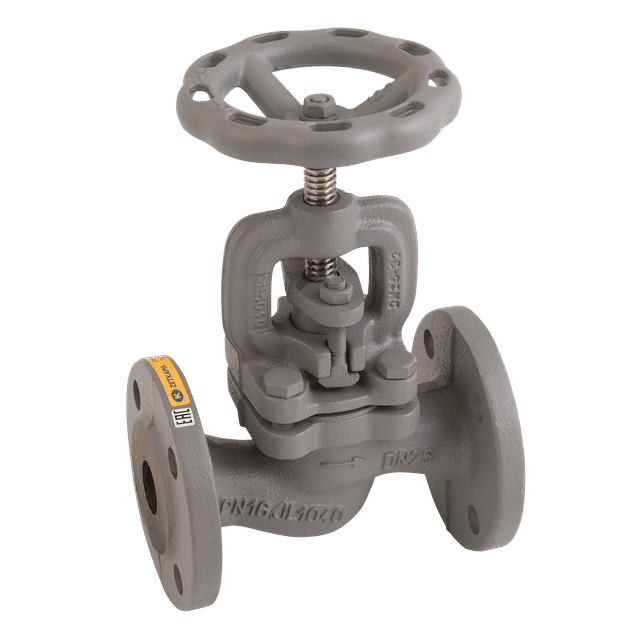 FT Pro 11/2" Cast Iron Globe Valve Flanged PN16
