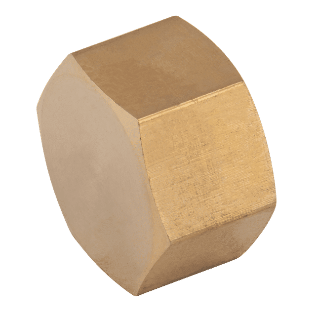 FT Pro 1/8" BSPP Female Cap
