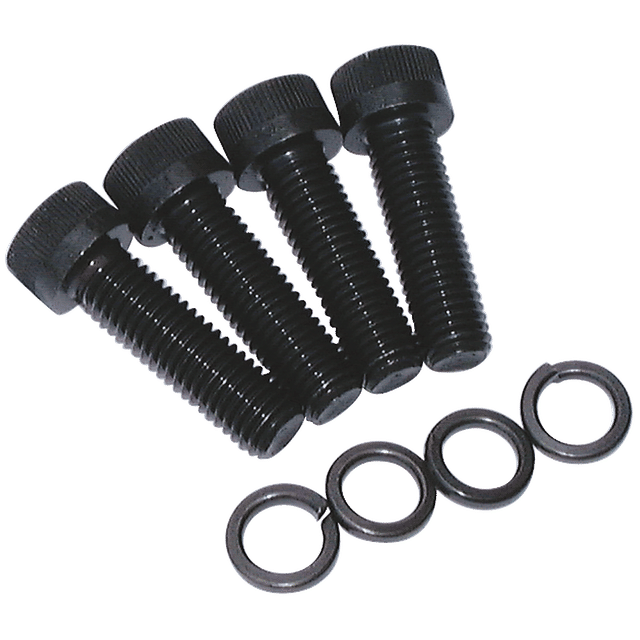 Havit M8X25 Bolts and Spring Washers X 4