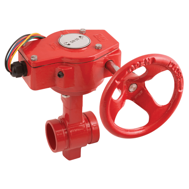 FT Pro 2.1/2" Di GRVD Fire Rise BV DI+EPDM Disc