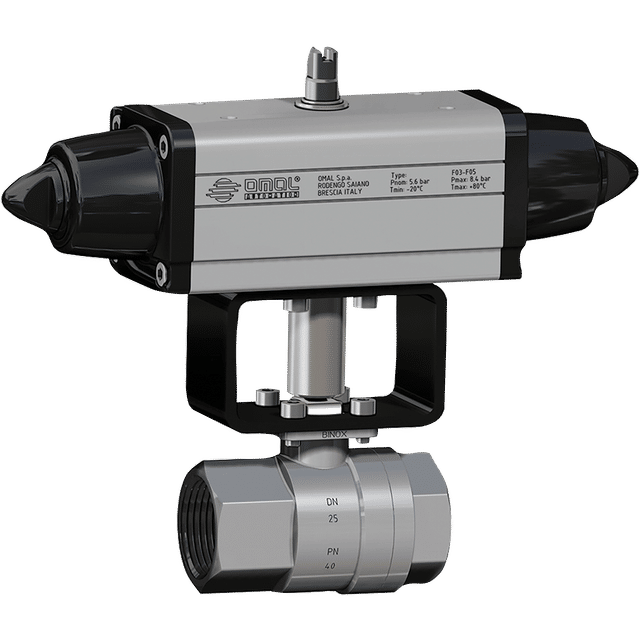 Omal 1" BSP Single Act/Spring RETN SS