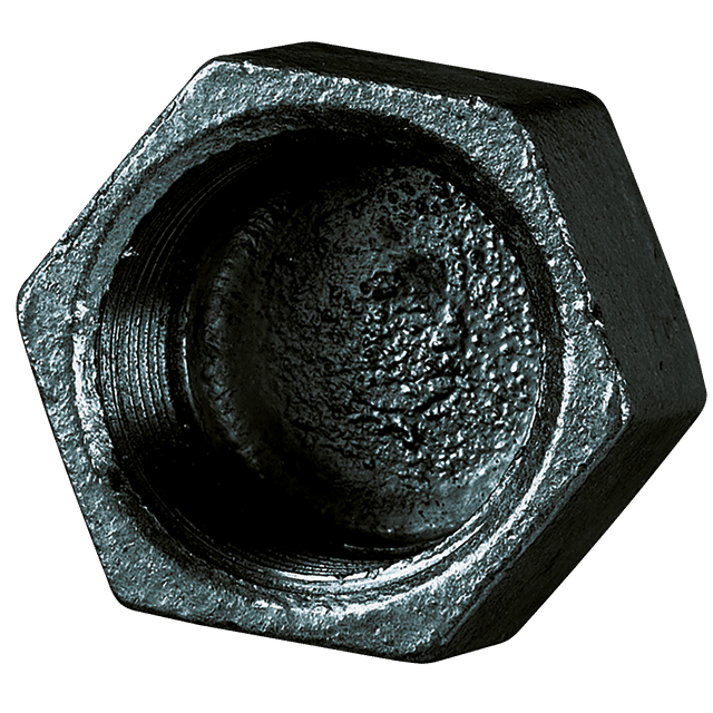 FT Pro 3/4" BSPP Female Cap Hex Black