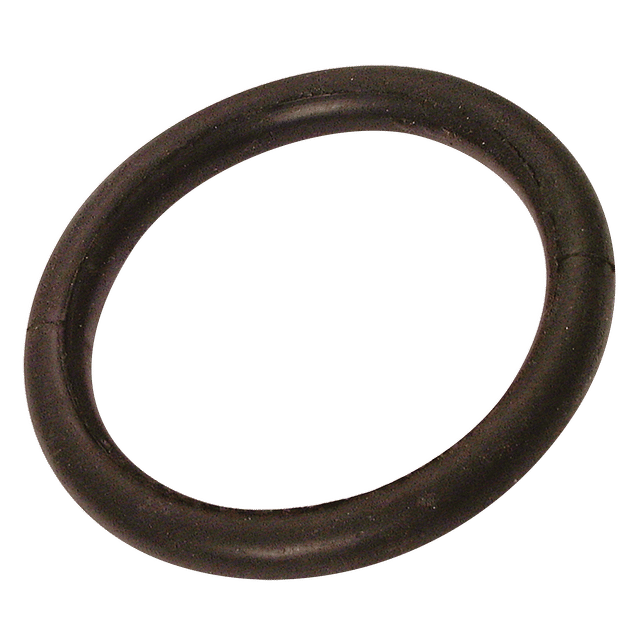 DALLAI 10" Lever Lock O-Ring 355 X 23.5