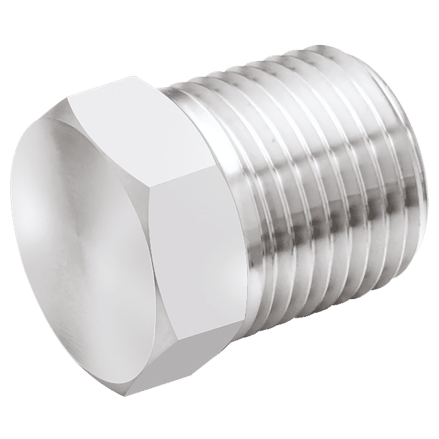 PANAM 3/4" BSPT Male Plug 316S.S Hex Head