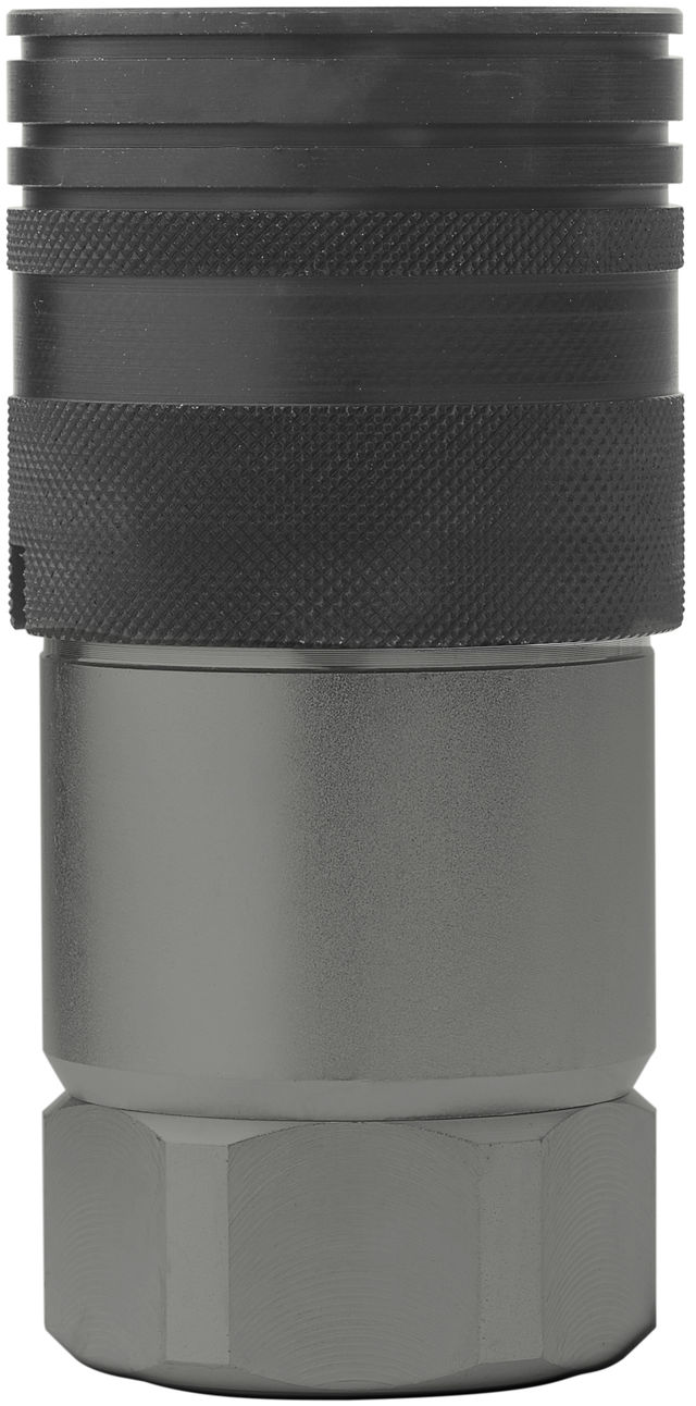 Cejn Coupling DN25G 1" (BSP) female DIN3852 NBR