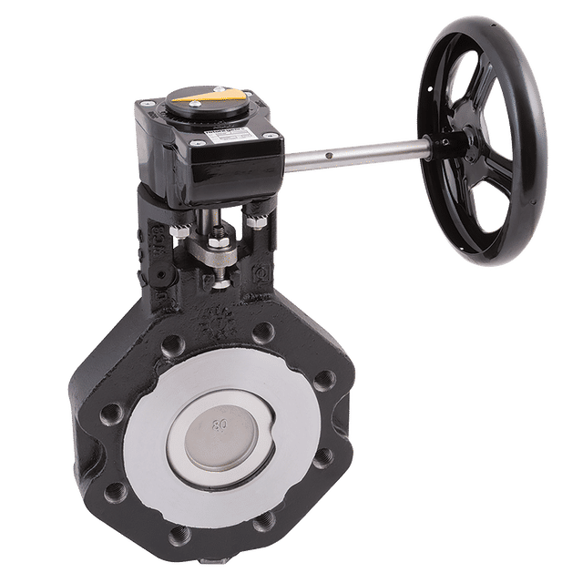 FT Pro 2.1/2" PN40 L+T BFLY Vv Cs/Ss/RTFE Gear