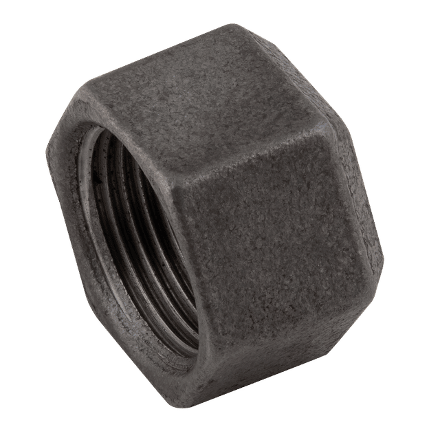 EE 2.1/2" Female BSPP Cap (Black)