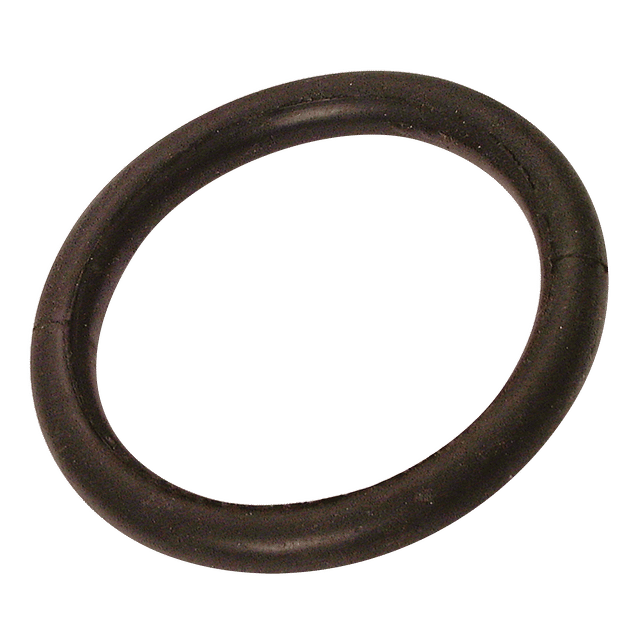 DALLAI Oil Resistant O-Ring 2"