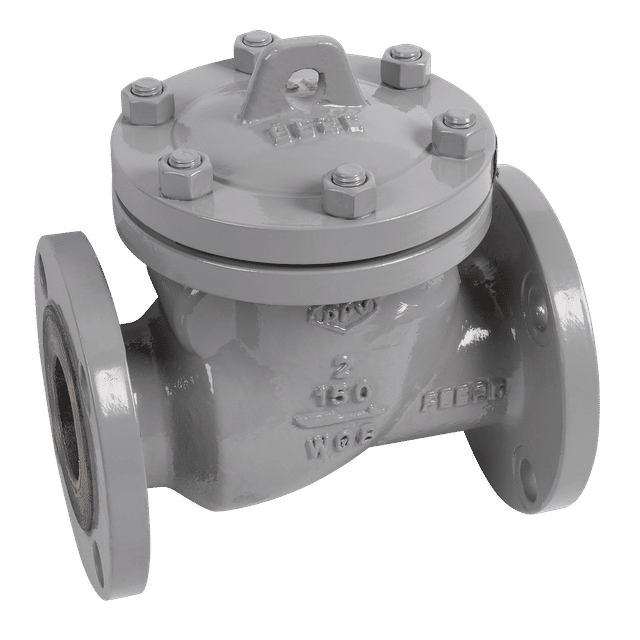 FT Pro 10" ANSI150 Cs Swing CV 19.6B API Trim 8