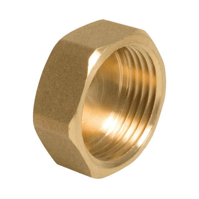 Female Plug/Cap BSPP BSPP Female Thread 3/4