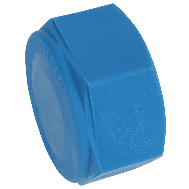 Tefen 3/4" BSPT Female Blanking Cap