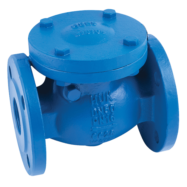 FT Pro 2" PN16 CI Metal Seat Swing Check Valve