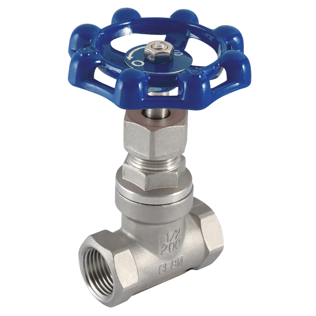 Haitima 1/2" BSP 316 SS Globe Valve