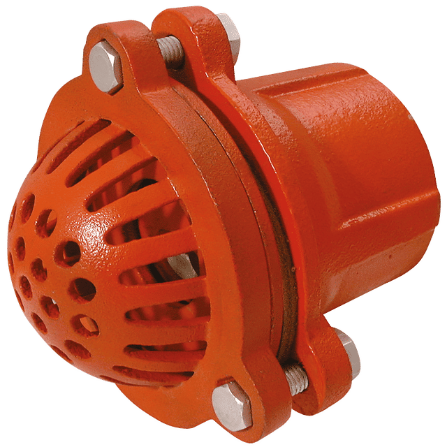 FT Pro 6" BSPP Malleable Iron Foot Valve