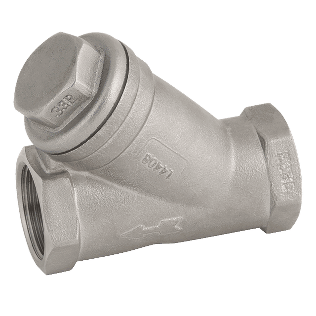 FT Pro 2" BSP SS Y Strainer 800 PSI