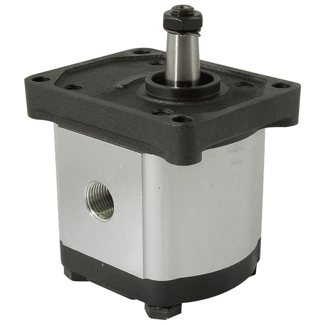 FT Pro 3/4" BSP Parallel Female Group 2 Gear Pump