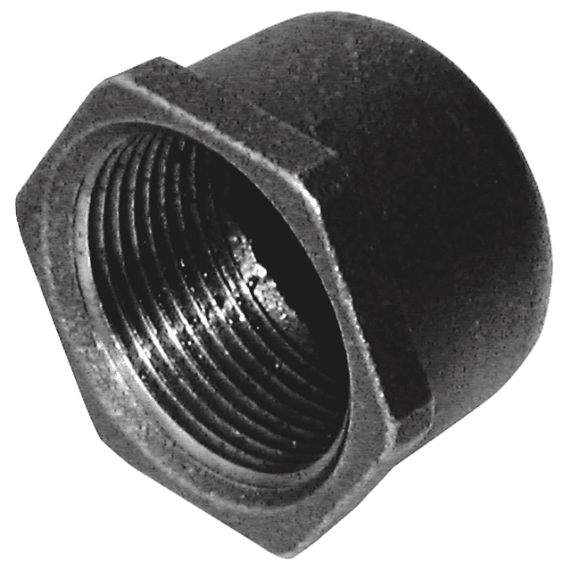 Crane 1" BSPT Female Blank Cap FIG185 Black