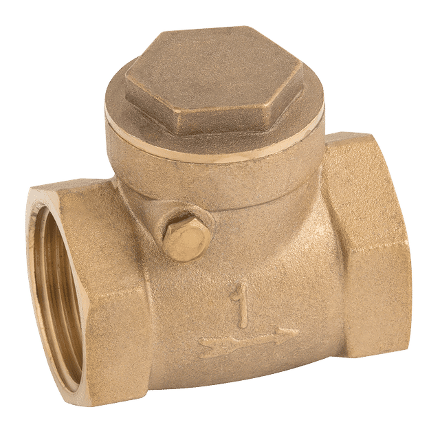 FT Pro 2" BSP Brass Swing Check Valve Rubber Seat