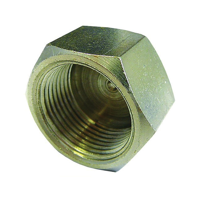 Female Plug/Cap BSPP BSPP Female Thread 3/4