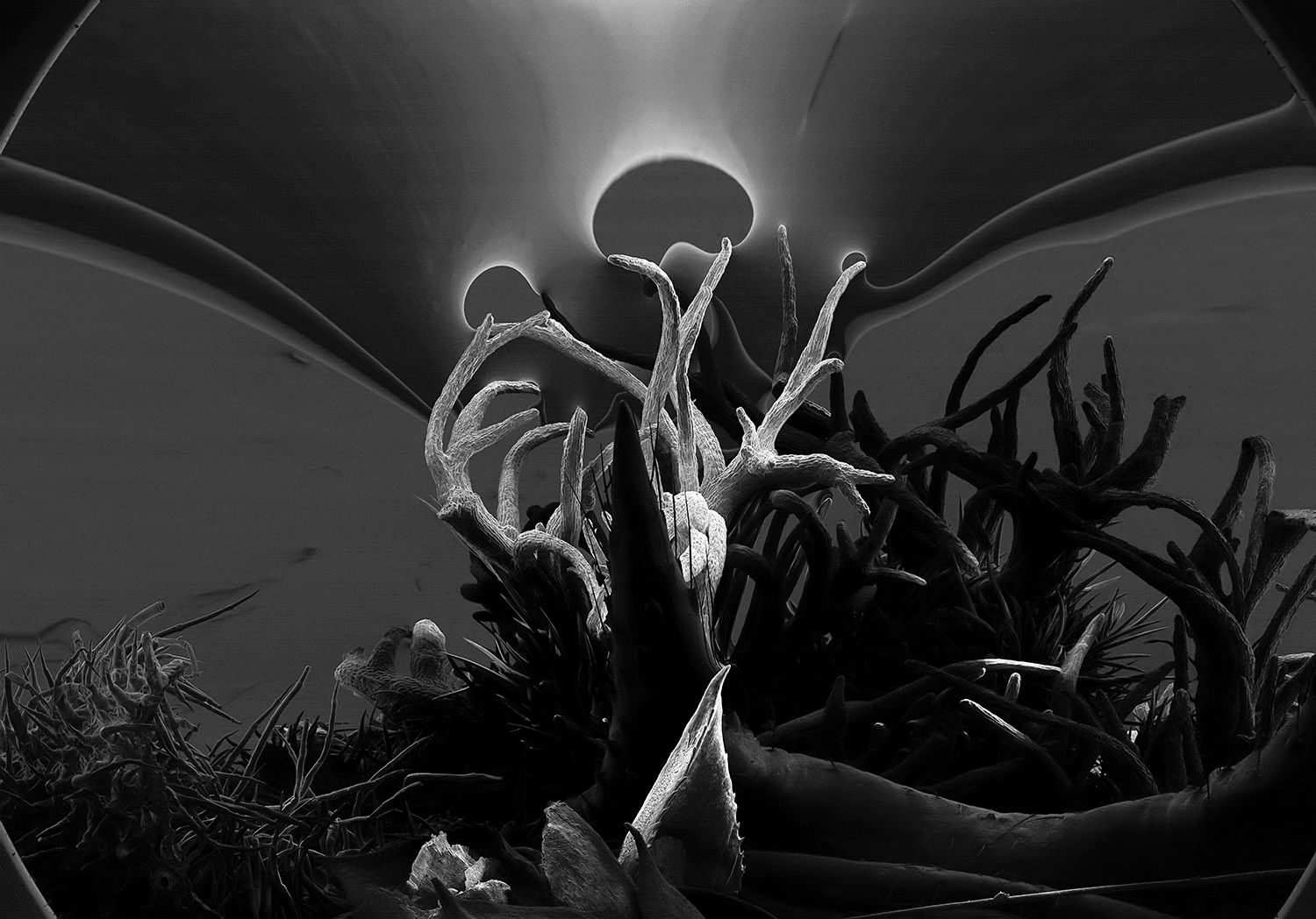Umbra