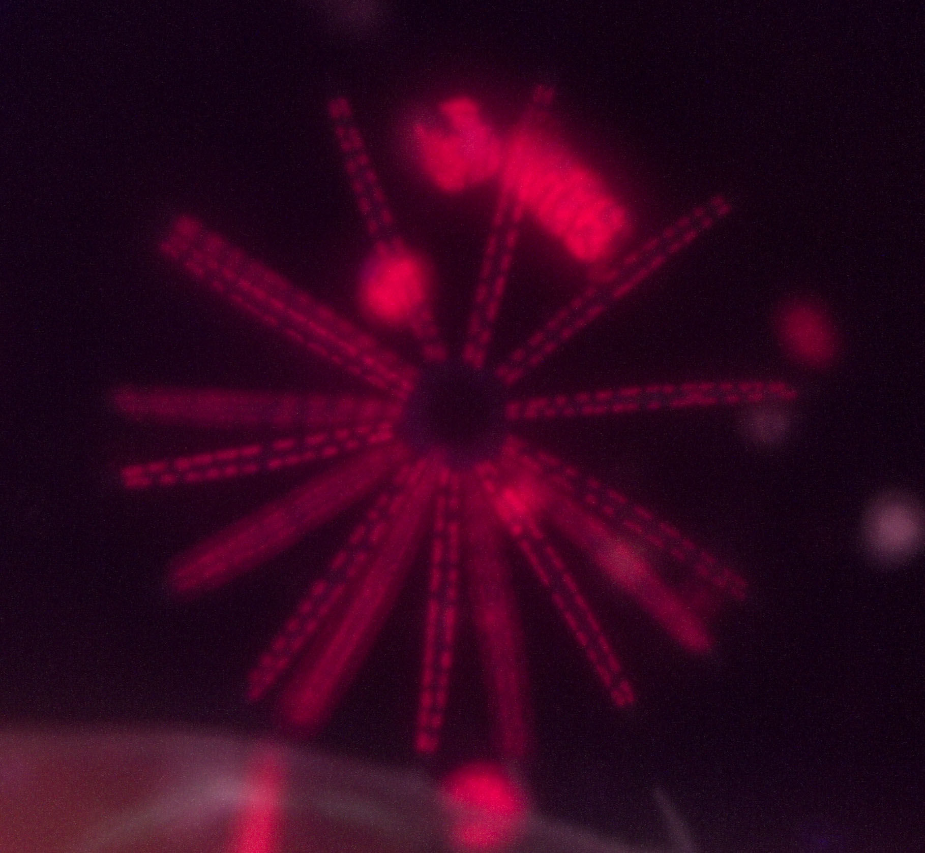 Boston harbor star diatom 2-16-26