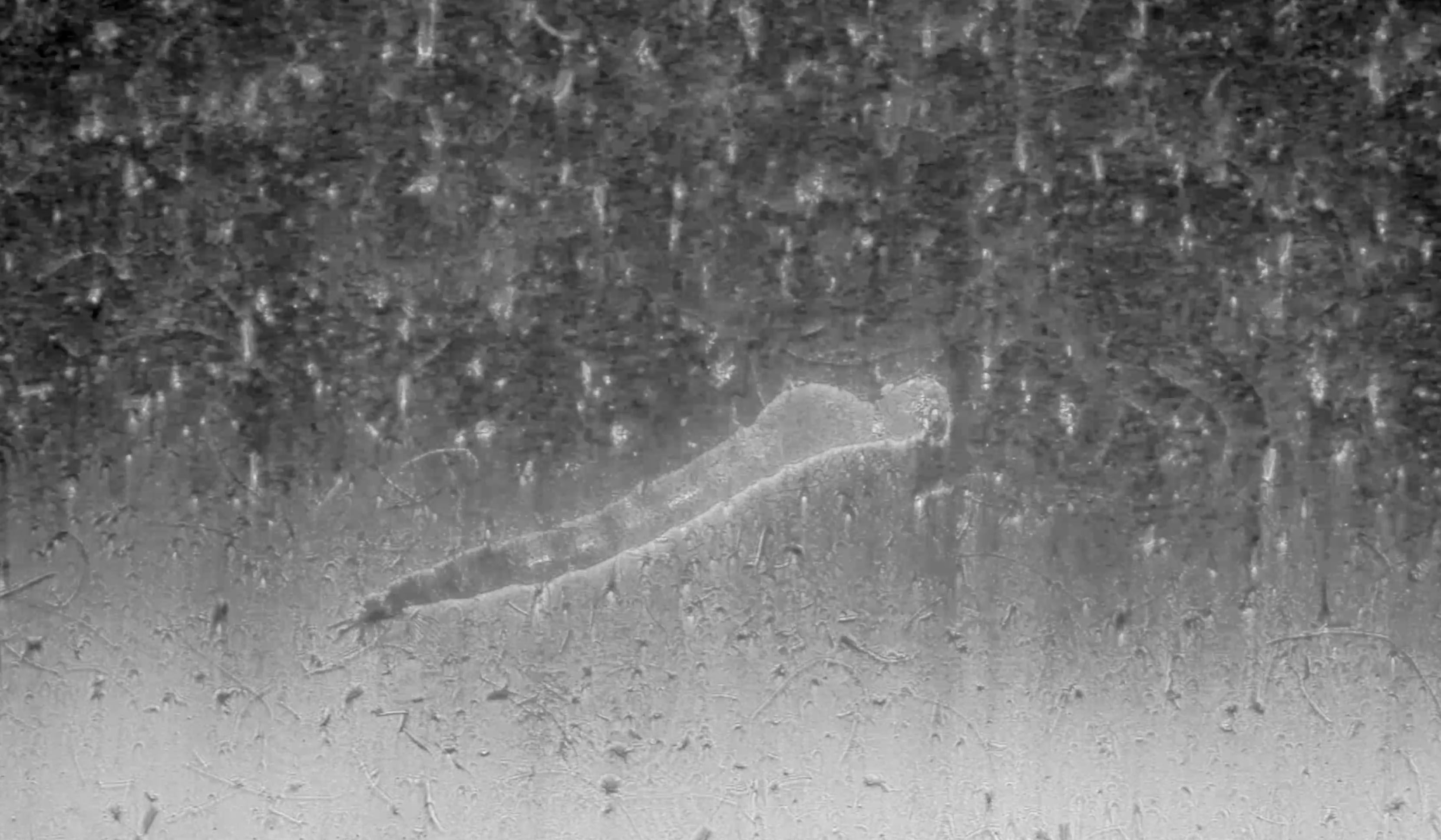 Schlieren Photography / Currents