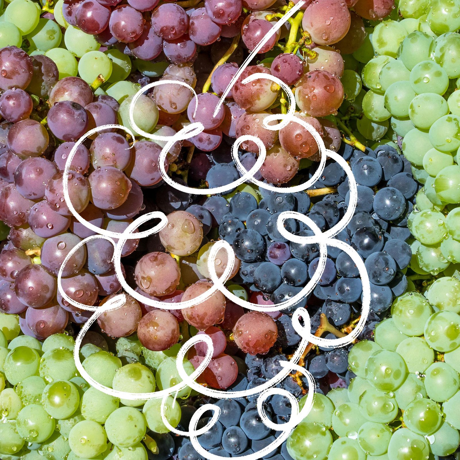 Bästa vinerna under 100 kronor